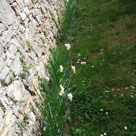 Bed and breakfast Casa Carbonara *