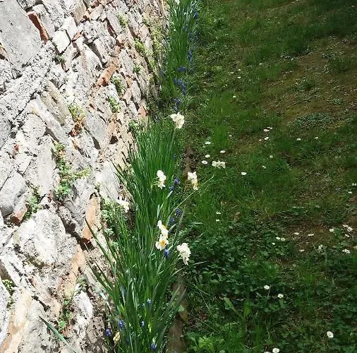 Panzió Casa Carbonara *